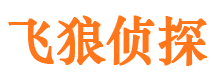 栾川寻人公司